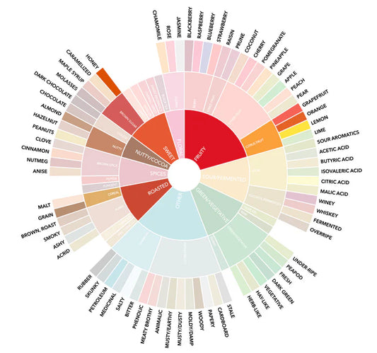 Obsidian — Single Origin Medium-Dark Roast